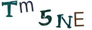 Vaizdinė CAPTCHA užduotis