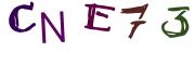 Vaizdinė CAPTCHA užduotis