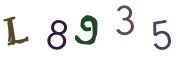 Vaizdinė CAPTCHA užduotis