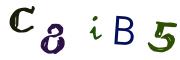 Vaizdinė CAPTCHA užduotis