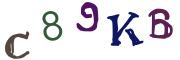 Vaizdinė CAPTCHA užduotis