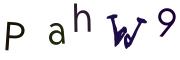 Vaizdinė CAPTCHA užduotis