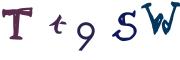 Vaizdinė CAPTCHA užduotis